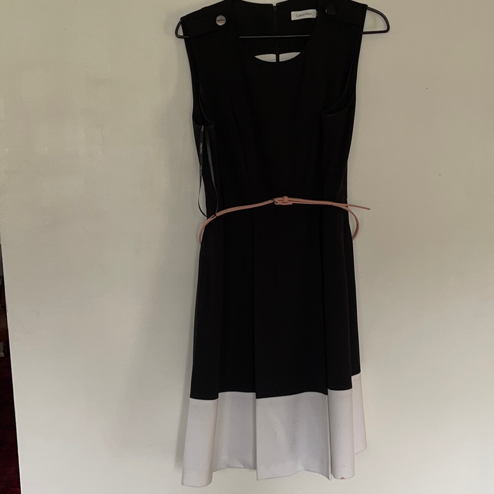 Pleated Dress